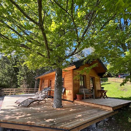 Huette Neuhaus Villa Annaberg im Lammertal Luaran gambar