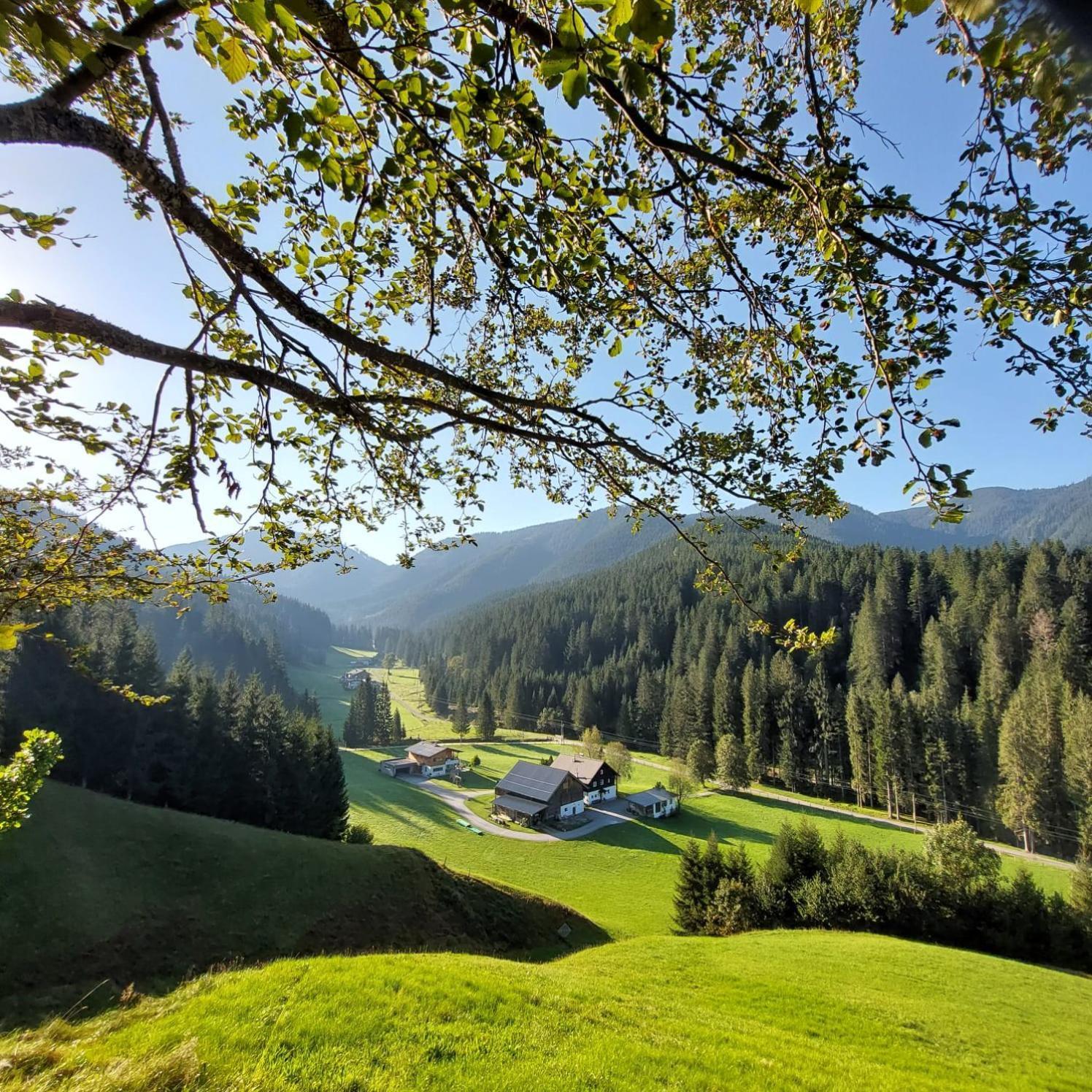 Huette Neuhaus Villa Annaberg im Lammertal Luaran gambar