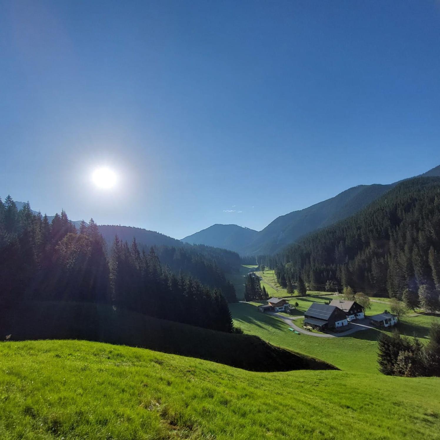 Huette Neuhaus Villa Annaberg im Lammertal Luaran gambar