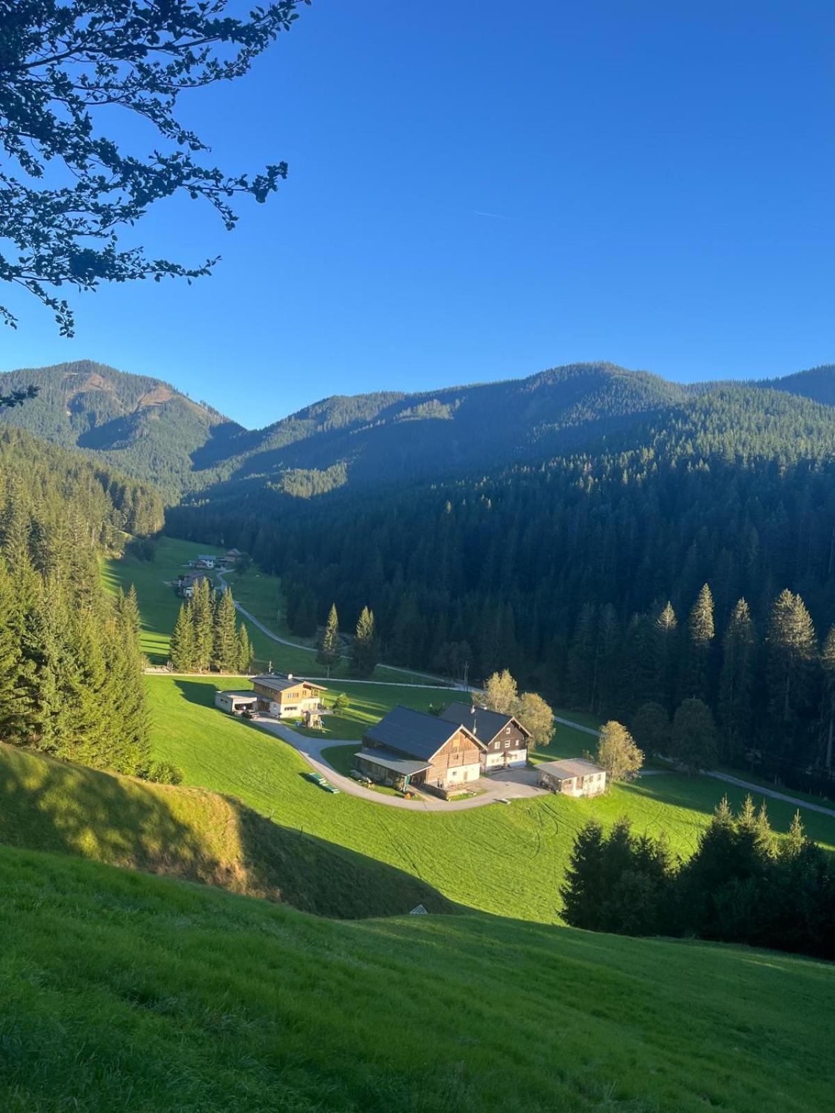 Huette Neuhaus Villa Annaberg im Lammertal Luaran gambar