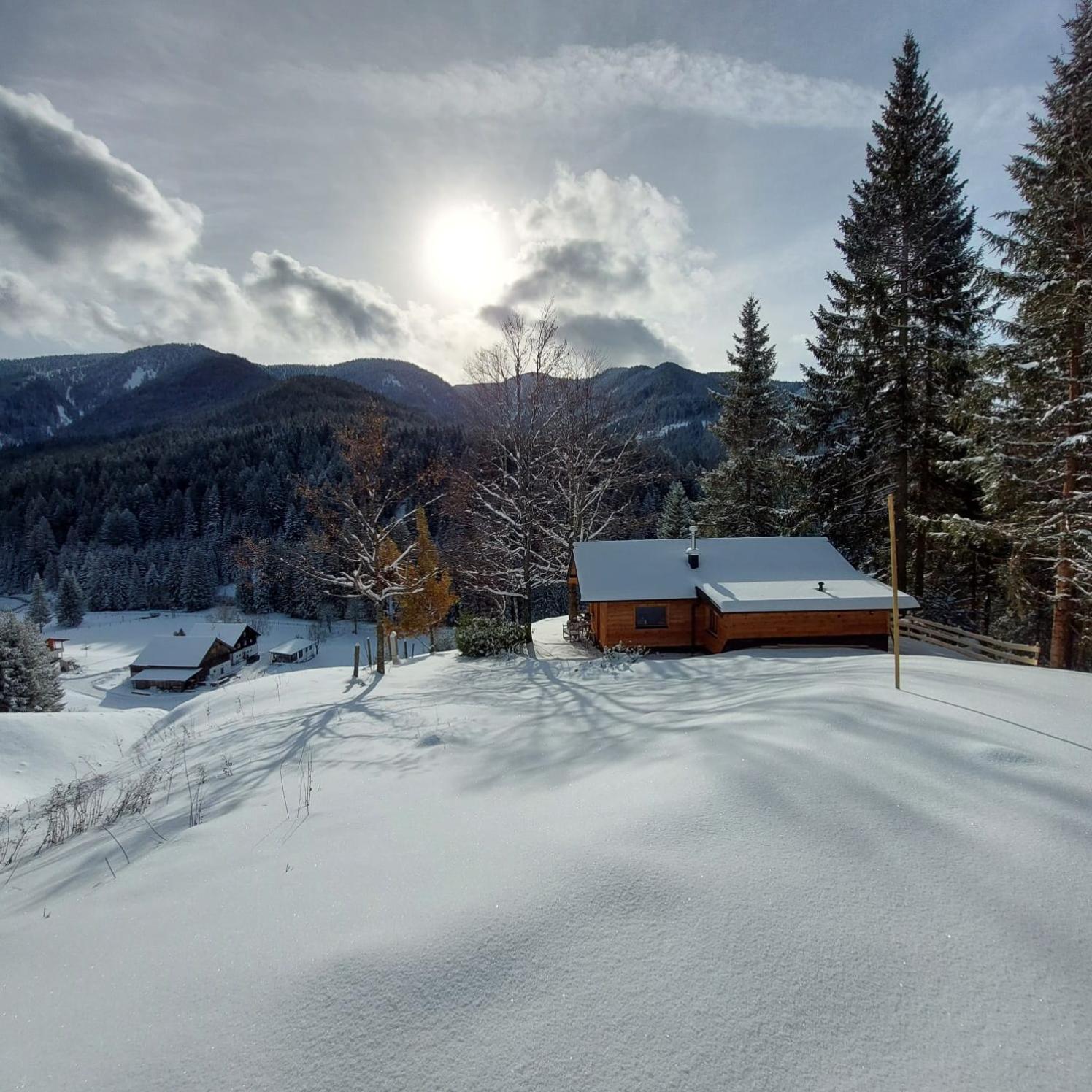 Huette Neuhaus Villa Annaberg im Lammertal Luaran gambar