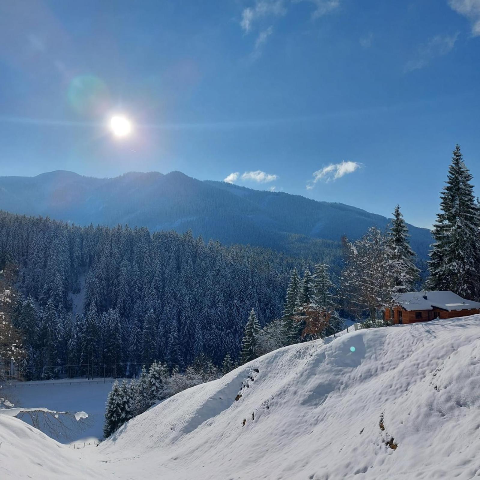 Huette Neuhaus Villa Annaberg im Lammertal Luaran gambar