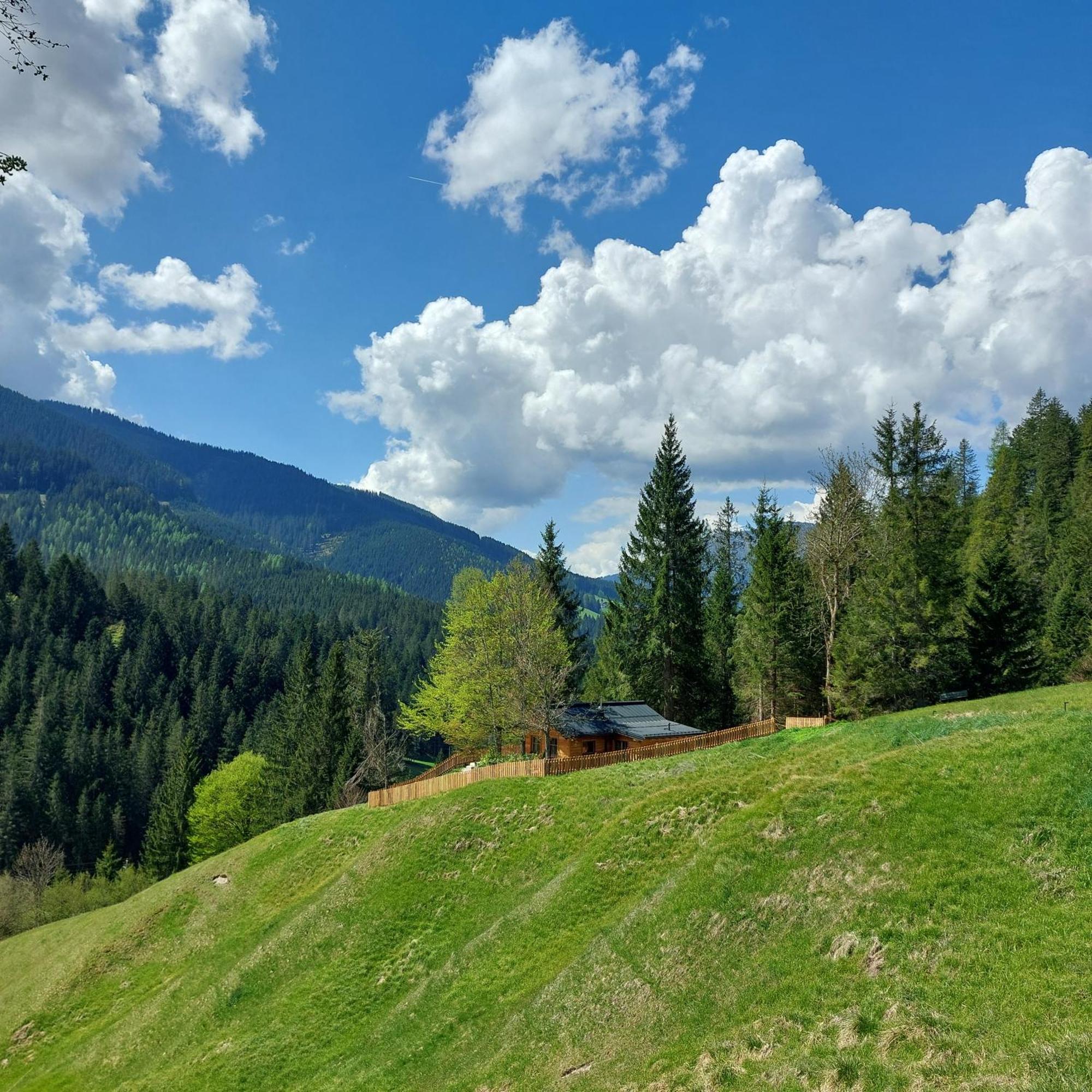 Huette Neuhaus Villa Annaberg im Lammertal Luaran gambar