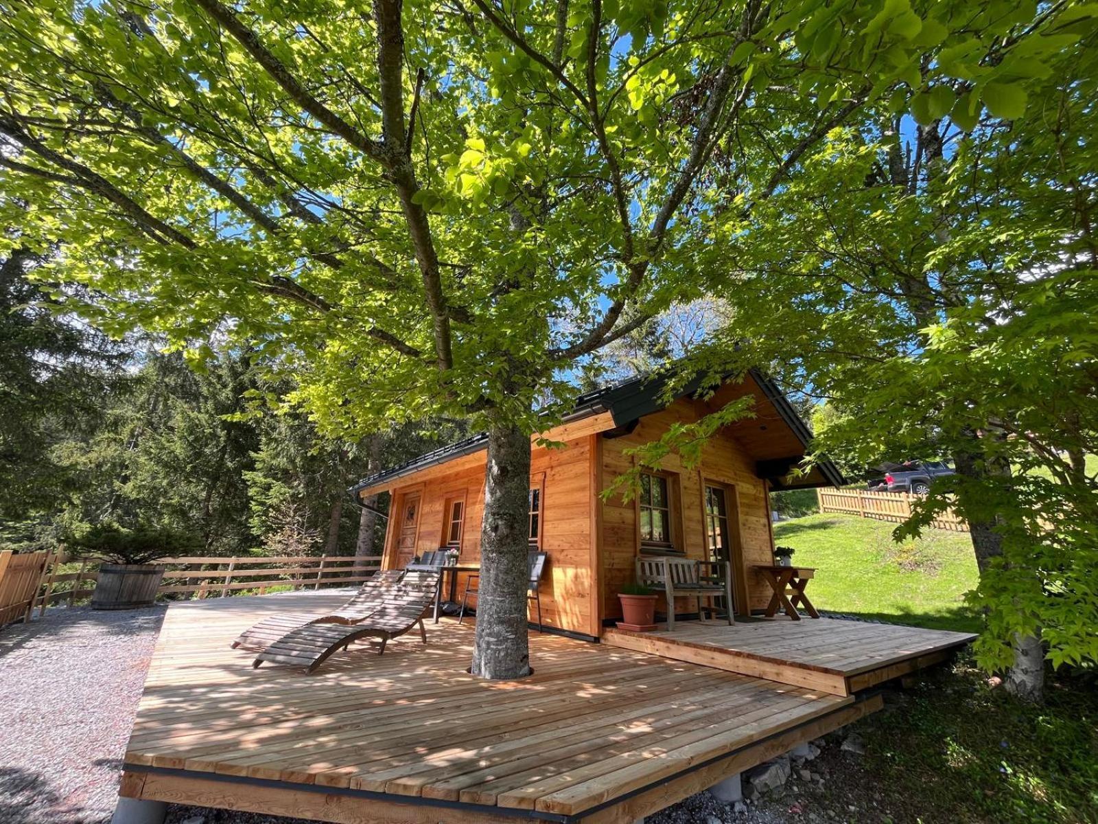 Huette Neuhaus Villa Annaberg im Lammertal Luaran gambar