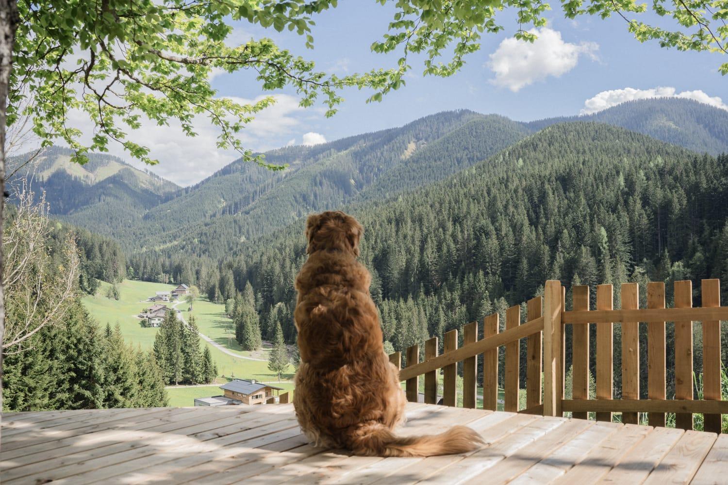 Huette Neuhaus Villa Annaberg im Lammertal Luaran gambar