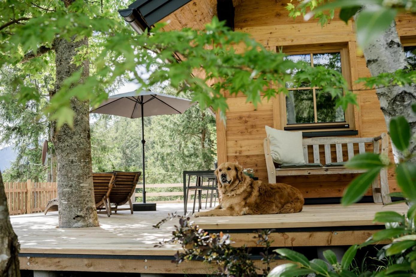 Huette Neuhaus Villa Annaberg im Lammertal Luaran gambar
